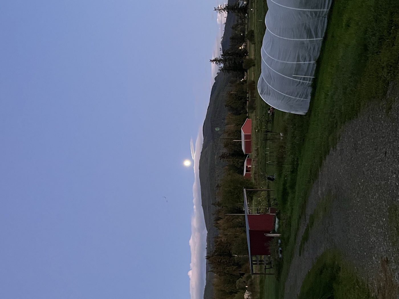 Moon rising over the hoop house at dusk