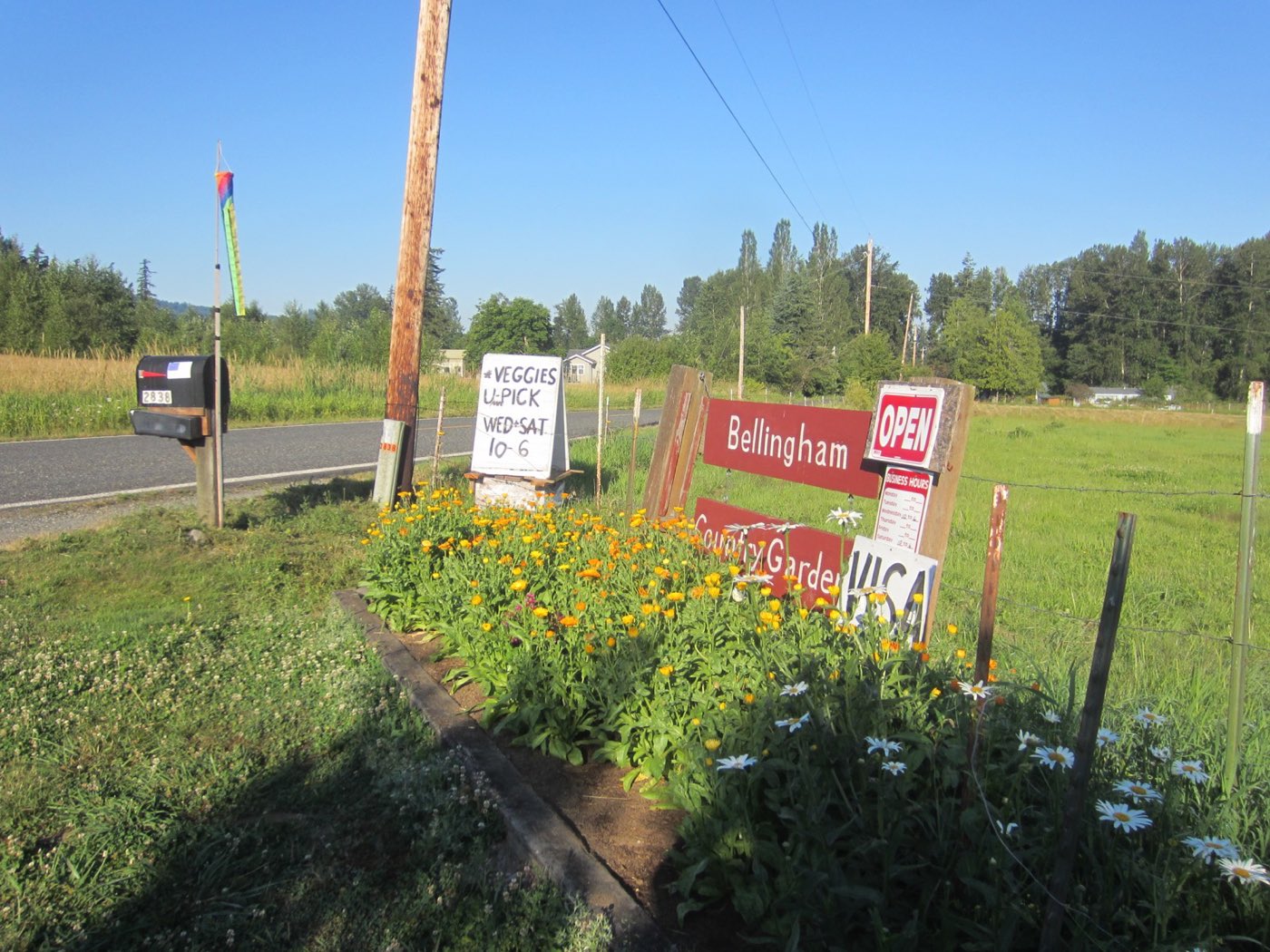 The hand-painted U-Pick sign at the roadside entrance, surrounded by flowers